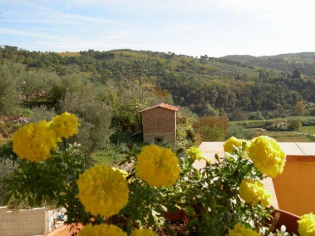 Hotel La Malva 3*